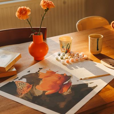 Winnies Picks Paint by Numbers Art Kit Peach Butterfly