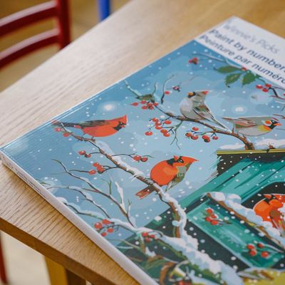 Winnies Picks Paint by Numbers Art Kit Snowy Cardinal Cottage
