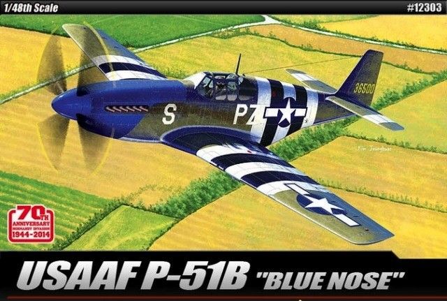 Academy Models 1/48 USAAF P-51B Anniversary 70 Normandy Invasion 1944