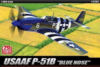 Academy Models 1/48 USAAF P-51B Anniversary 70 Normandy Invasion 1944