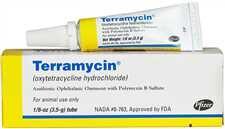 Terramycin Opthalmic Ointment 1/8 oz. (3.5gm)