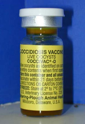 Coccidiosis Vaccine-Cocci-Vac-D-2 1000 doses