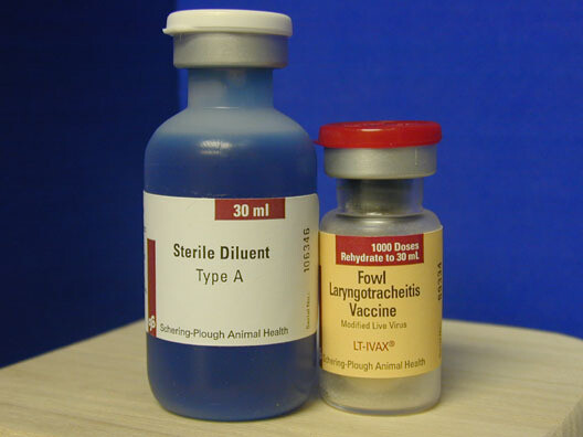 Laryngotracheitis Vaccine LT-I-Vax