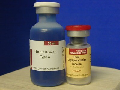 Laryngotracheitis Vaccine LT-I-Vax
