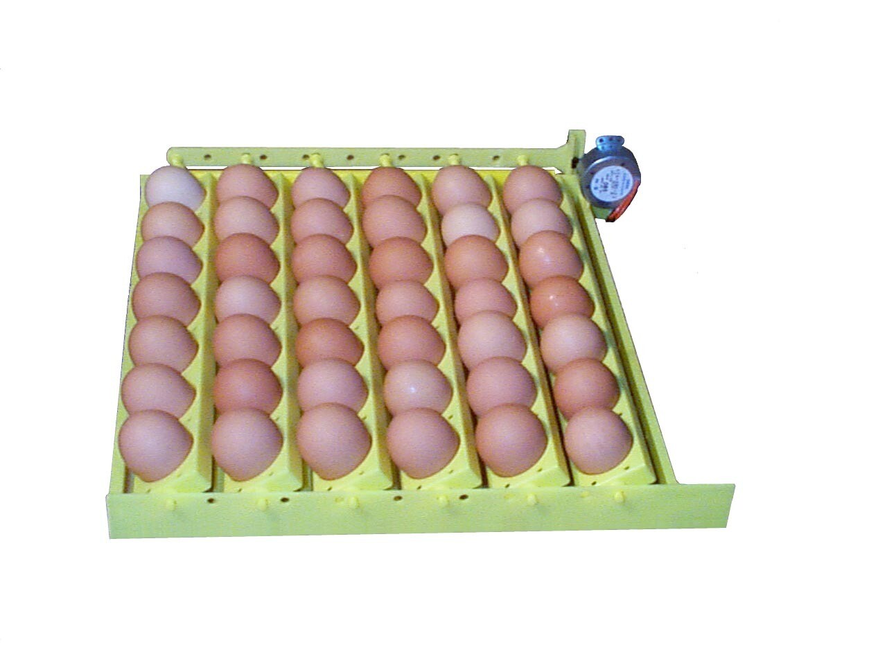 Hovabator 1588 12 Volt Incubator Automatic Turner