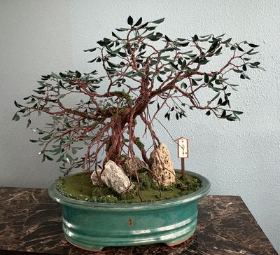 BONSAI TREES