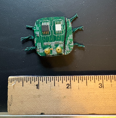 Computer Bug Magnet
