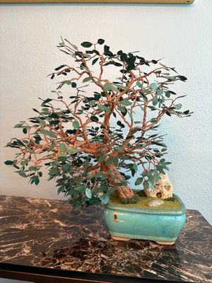 Large Bonsai Tree