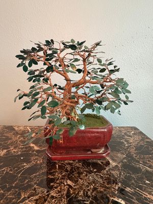 Bonsai Tree With Vines