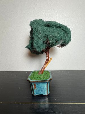Broken Branch Bonsai