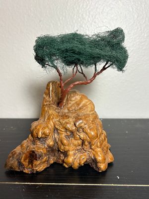 Burlwood Base Bonsai
