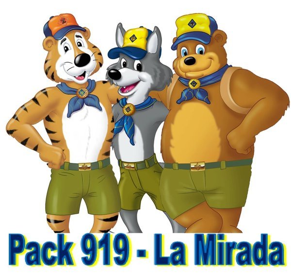 PACK 919 GEAR