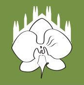 Carta regalo Carta regalo