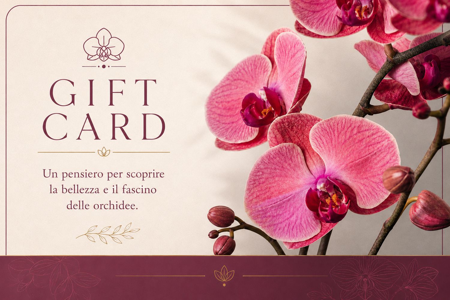 Carta regalo