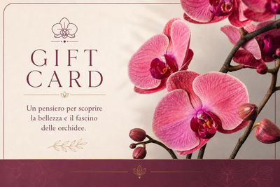 Carta regalo Carta regalo