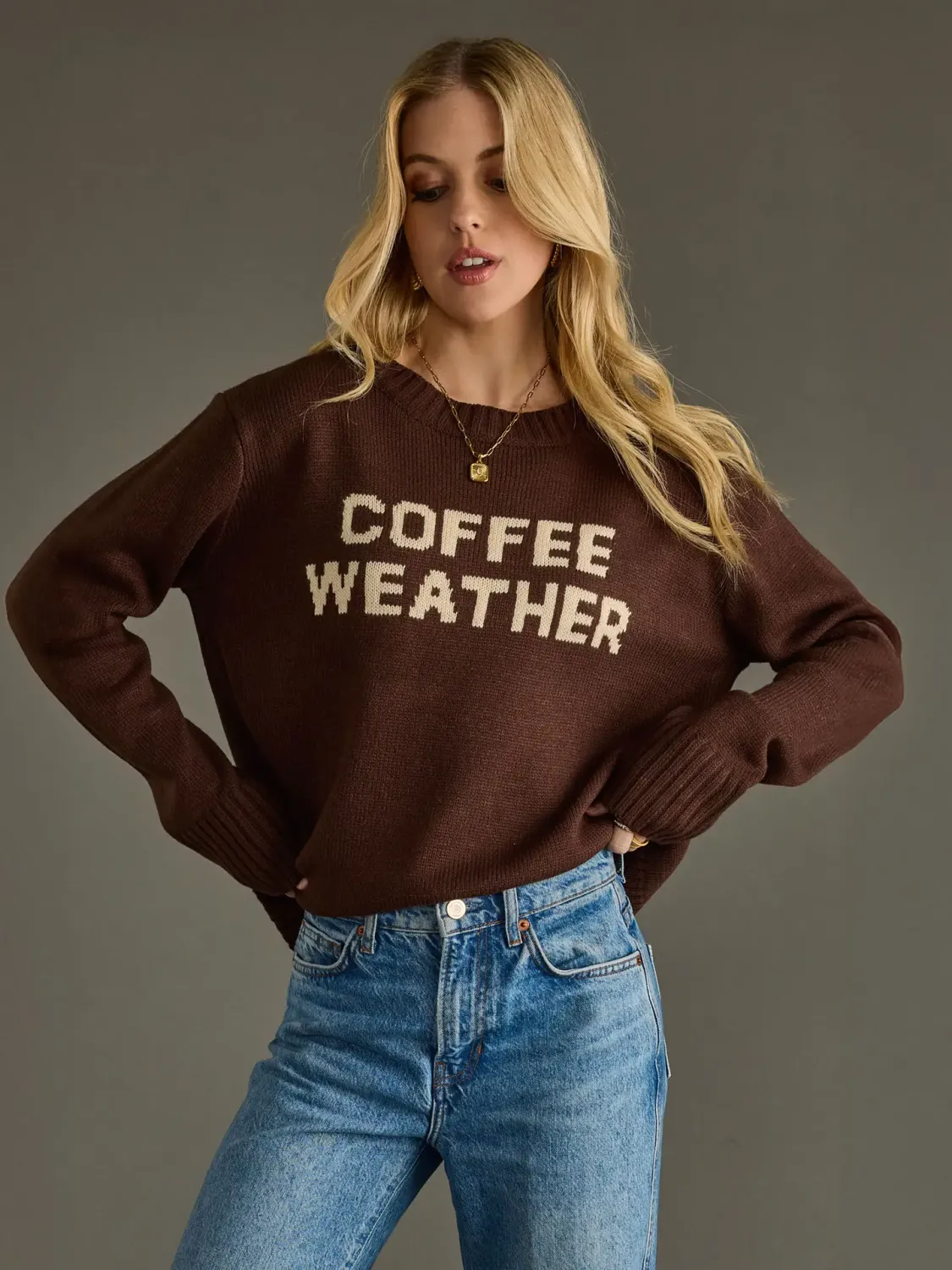 Dk. Brown Coffee Weather Sweater - Beige