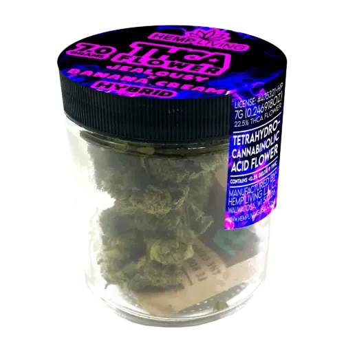 Hemp Living THCA Flower, Flavor: Jealousy x Banana Cream, Size: 7 Grams