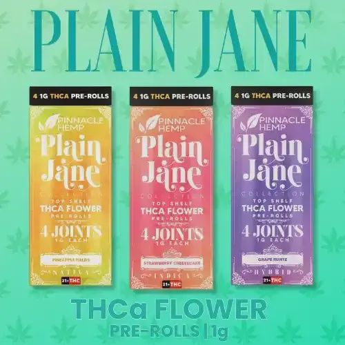 Plain Jane THCA PreRolls