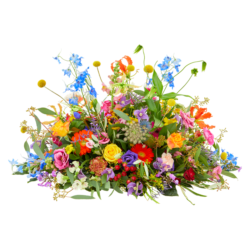Rijke kleuren