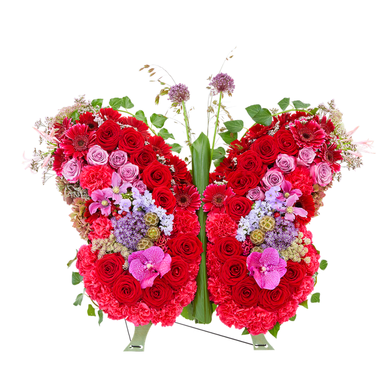 Vlinder van liefde