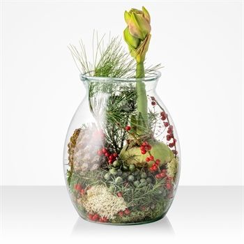 Amaryllis bol in grote vaas