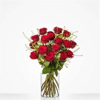 Hollandse rode rozen pracht