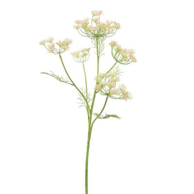 Dille roze 79 cm