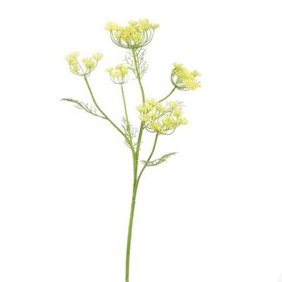 Dille geel 79 cm