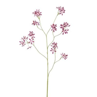 Veldbloem tweekleurig burgundy-roze 96 cm - zijden bloem