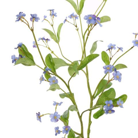 Vergeet-mij-nietje 81 cm