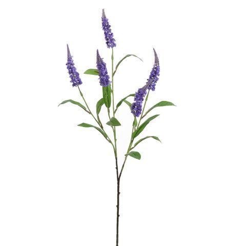 Veronica 70 cm blauw