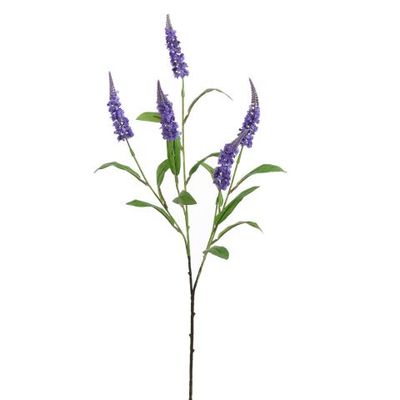 Veronica 70 cm blauw