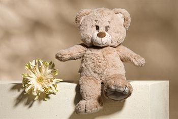 Lieve knuffelbeer - 35cm