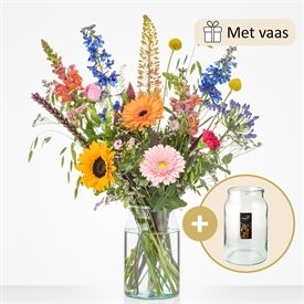 Cadeauset Zonovergoten