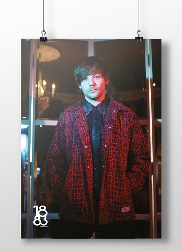 Louis Tomlinson poster 2