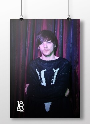 Louis Tomlinson poster 5