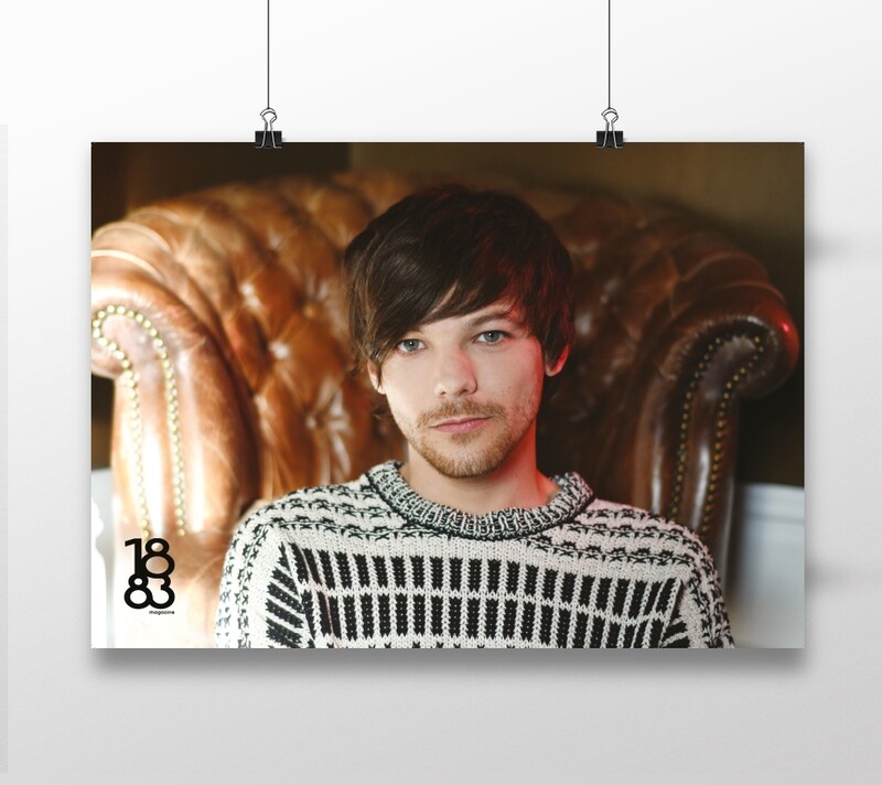 Louis Tomlinson poster 6