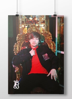 Louis Tomlinson poster 7