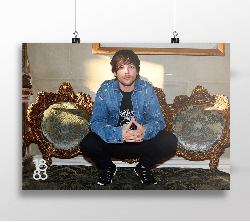 Louis Tomlinson poster 8