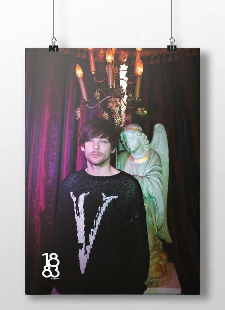 Louis Tomlinson poster 9