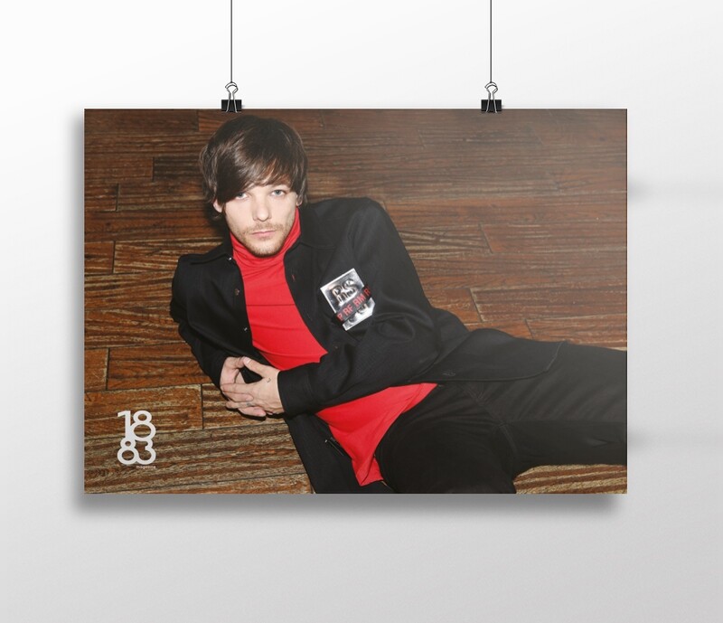 Louis Tomlinson poster 10