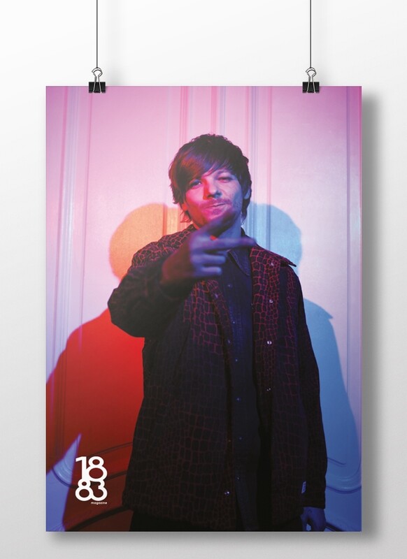 Louis Tomlinson poster 12