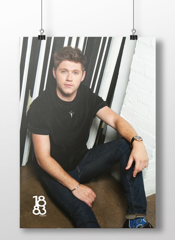 Niall Horan poster 1