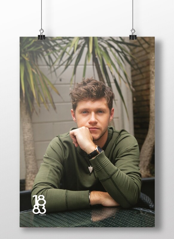 Niall Horan poster 2