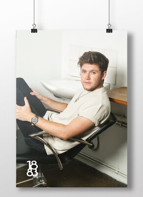 Niall Horan poster 3