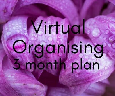 Virtual organising - 3 month package