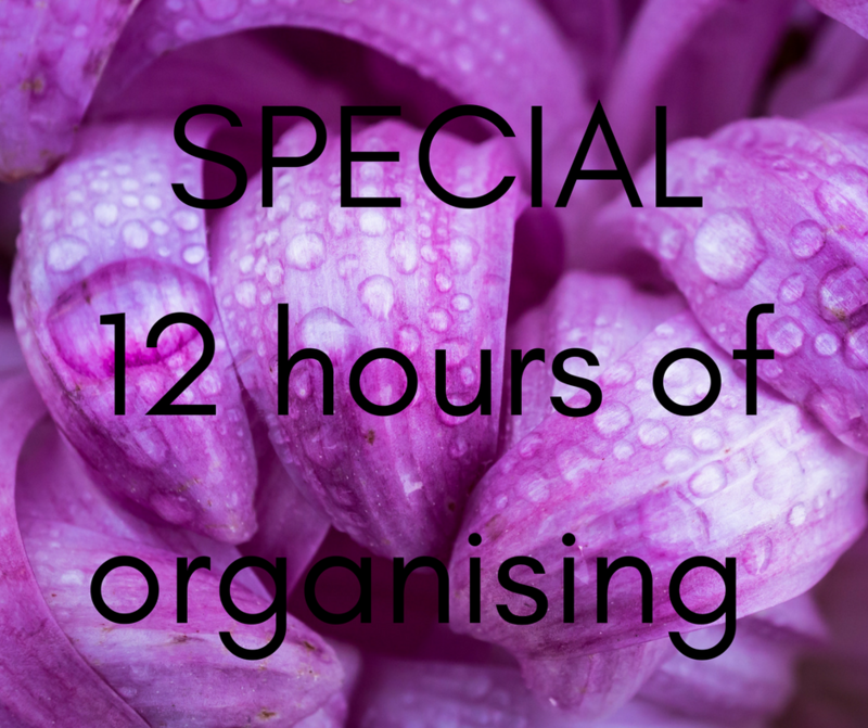 SPECIAL 12 hour organising package