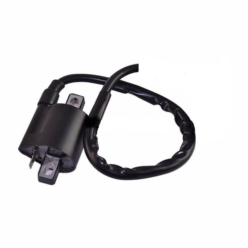 Ignition Coil 2020-present OEM