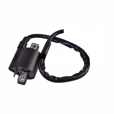 Ignition Coil 2020-present OEM
