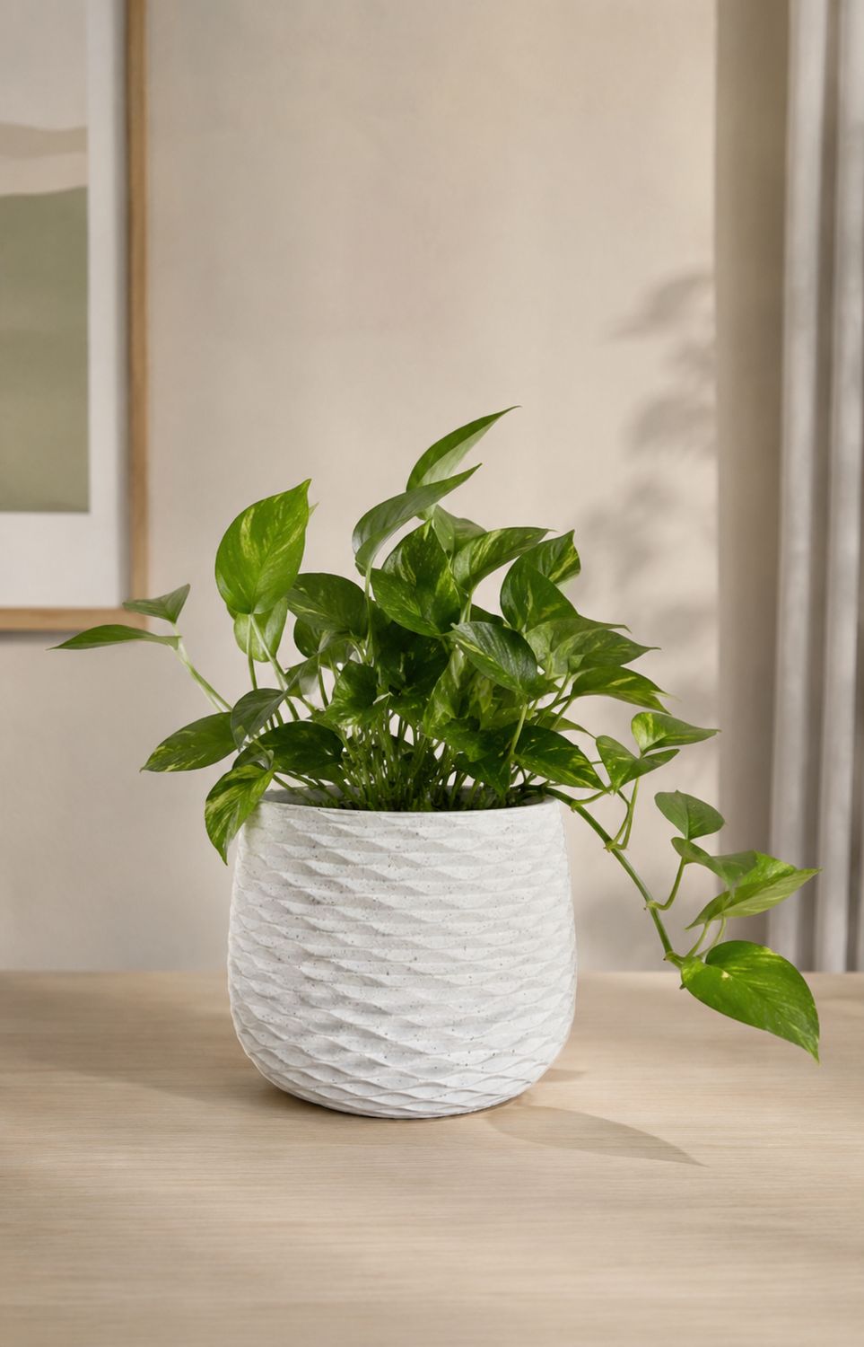 Lush Fiber Clay Planter